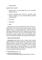 Konspekts 'Tiesību saimes un tiesiskā sistēma', 4.