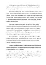 Konspekts 'Delnu kaula lūzumi', 7.