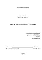 Paraugs 'Bērnu ballītes organizēšana un apkalpošana', 1.