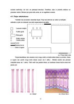 Paraugs 'Bērnu ballītes organizēšana un apkalpošana', 15.