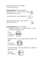 Konspekts 'Jēdziena loģiskā struktūra', 2.