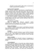 Referāts 'Stratēģijas izvēle un realizēšana uzņēmumā', 8.