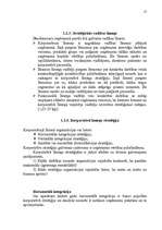 Referāts 'Stratēģijas izvēle un realizēšana uzņēmumā', 17.