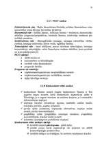 Referāts 'Stratēģijas izvēle un realizēšana uzņēmumā', 20.