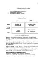 Referāts 'Stratēģijas izvēle un realizēšana uzņēmumā', 21.