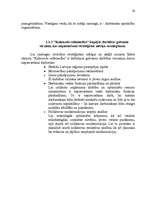 Referāts 'Stratēģijas izvēle un realizēšana uzņēmumā', 26.