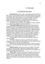 Referāts 'Stratēģijas izvēle un realizēšana uzņēmumā', 27.