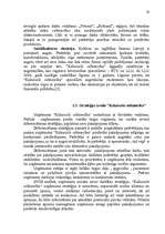 Referāts 'Stratēģijas izvēle un realizēšana uzņēmumā', 30.