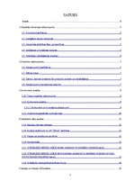 Referāts 'Biznesa plānam izvēlētās industrijas un produkta analīze', 2.