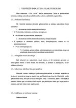 Referāts 'Biznesa plānam izvēlētās industrijas un produkta analīze', 5.