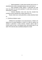 Referāts 'Biznesa plānam izvēlētās industrijas un produkta analīze', 6.