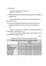 Referāts 'Biznesa plānam izvēlētās industrijas un produkta analīze', 13.