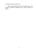 Referāts 'Biznesa plānam izvēlētās industrijas un produkta analīze', 14.