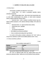 Referāts 'Biznesa plānam izvēlētās industrijas un produkta analīze', 15.