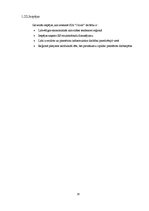 Referāts 'Biznesa plānam izvēlētās industrijas un produkta analīze', 16.