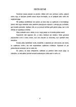 Referāts 'Biznesa plānam izvēlētās industrijas un produkta analīze', 17.