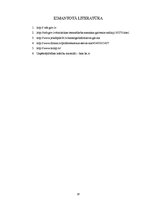 Referāts 'Biznesa plānam izvēlētās industrijas un produkta analīze', 18.