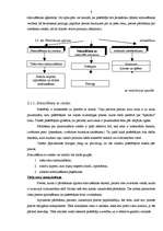 Referāts 'Patērētāja uzvedība un psiholoģija', 8.