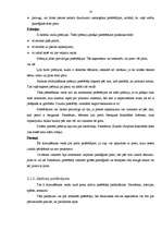 Referāts 'Patērētāja uzvedība un psiholoģija', 10.