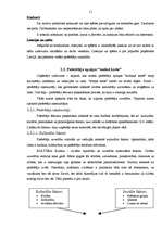 Referāts 'Patērētāja uzvedība un psiholoģija', 11.