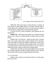 Referāts 'Patērētāja uzvedība un psiholoģija', 12.