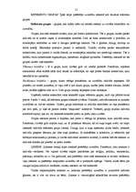 Referāts 'Patērētāja uzvedība un psiholoģija', 13.