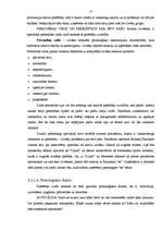 Referāts 'Patērētāja uzvedība un psiholoģija', 17.