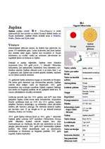 Referāts 'Japāna', 2.