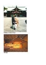 Referāts 'Japāna', 13.