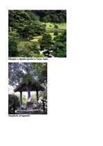 Referāts 'Japāna', 14.