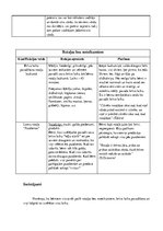 Konspekts 'Rotaļas vērojums pirmsskolā', 2.