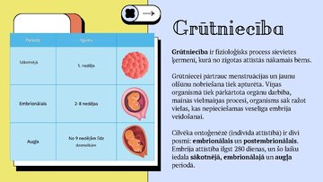 Prezentācija 'Cilvēka embrionālā attistība', 2.