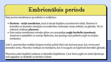 Prezentācija 'Cilvēka embrionālā attistība', 5.
