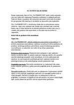 Biznesa plāns 'SIA "Club Warehouse"', 18.