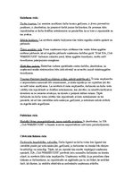 Biznesa plāns 'SIA "Club Warehouse"', 19.