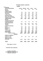 Biznesa plāns 'SIA "Club Warehouse"', 24.