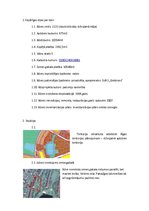 Referāts 'Tehniskās apsekošanas atzinums', 2.