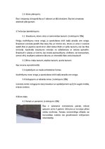 Referāts 'Tehniskās apsekošanas atzinums', 3.