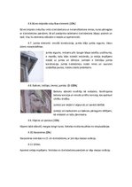 Referāts 'Tehniskās apsekošanas atzinums', 5.