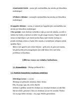 Konspekts 'Bērna runas un valodas izpēte pirmsskolas vecumā', 2.