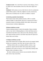 Konspekts 'Bērna runas un valodas izpēte pirmsskolas vecumā', 7.