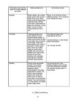 Referāts 'Trušu audzēšanas ieteikumi', 19.