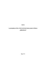 Referāts 'Laodamijas tēls vēstulē Protesilājam Ovīdija darbā "Hēroidas"', 1.