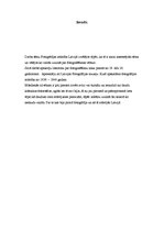 Referāts 'Fotogrāfijas attīstība Latvijā, 19.-20.gadsimts', 2.