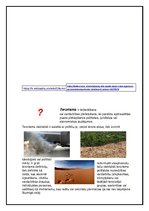 Konspekts 'Pilsētu problēmas', 3.