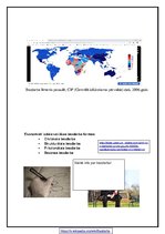 Konspekts 'Pilsētu problēmas', 5.