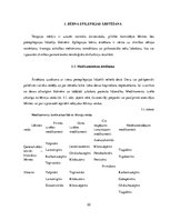 Diplomdarbs 'Pirmsskolas iestādes darbinieku informētība par bērna epilepsiju', 22.