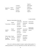 Diplomdarbs 'Pirmsskolas iestādes darbinieku informētība par bērna epilepsiju', 23.