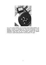 Referāts 'Ceļojošā tirgotāja problēma', 5.