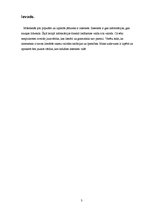 Referāts 'Jaunvārdi interneta tērzētavās', 3.